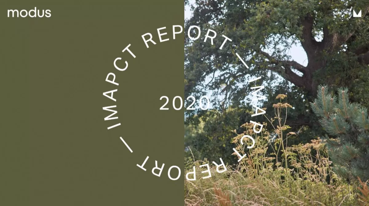 IPAST REPORT 2