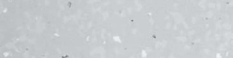  (Greycious)