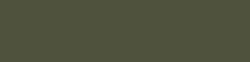 RAL 6003 (Olive green)