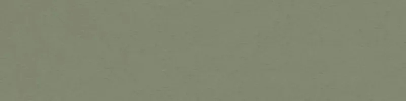  (Olive)