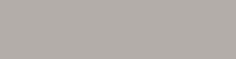 RAL080 70 05​ (Garlic Beige)