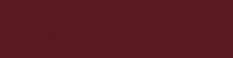 RAL 3005 (Wine red)