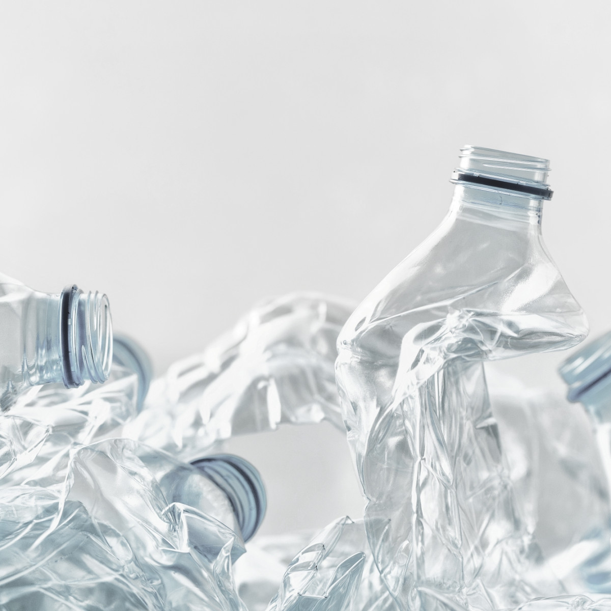 AdobeStock 235743819 low