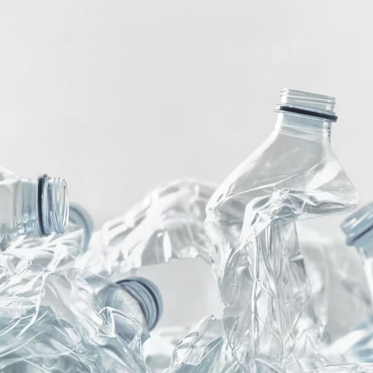 AdobeStock 235743819 low