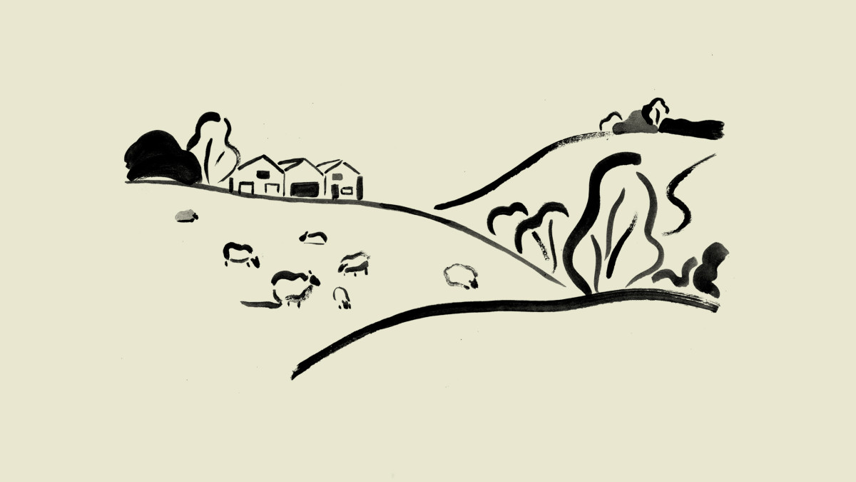 Modus Landscape final green background