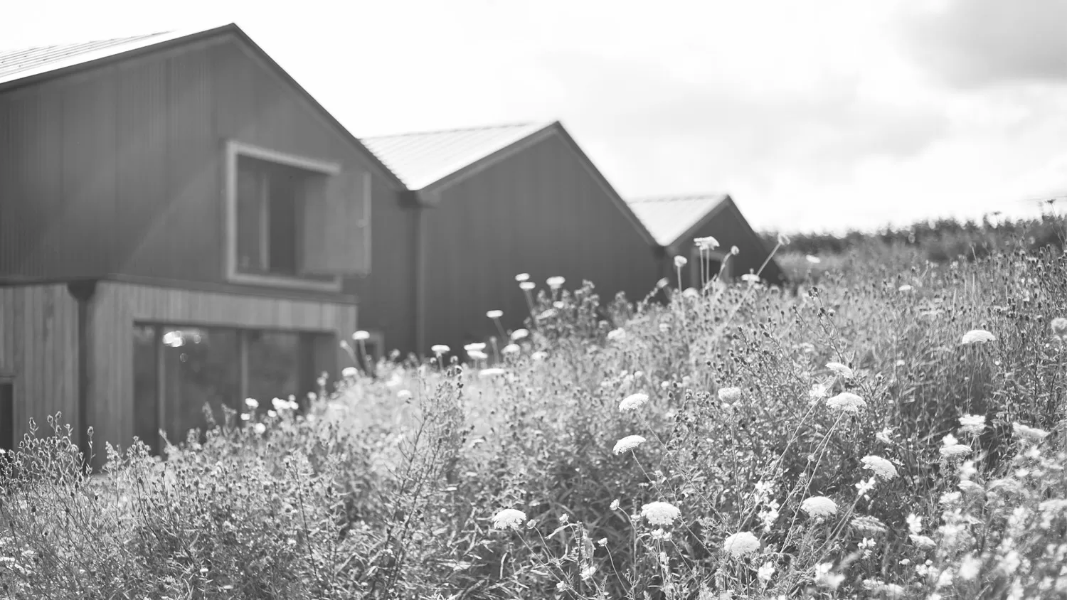 BW modus v2