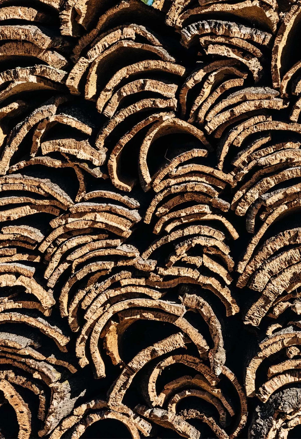 Cork v2