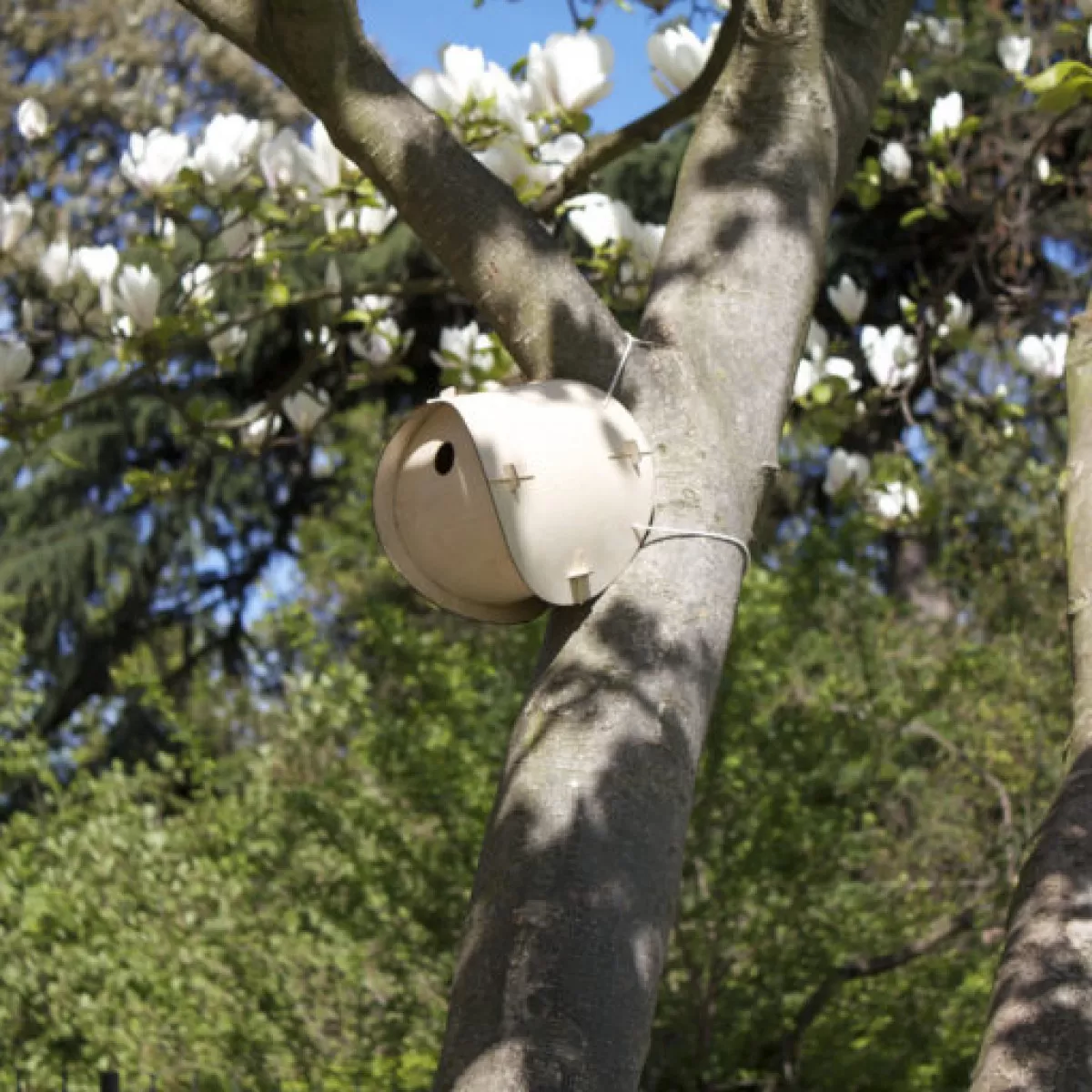 BirdBox 2 v3.2 768x512