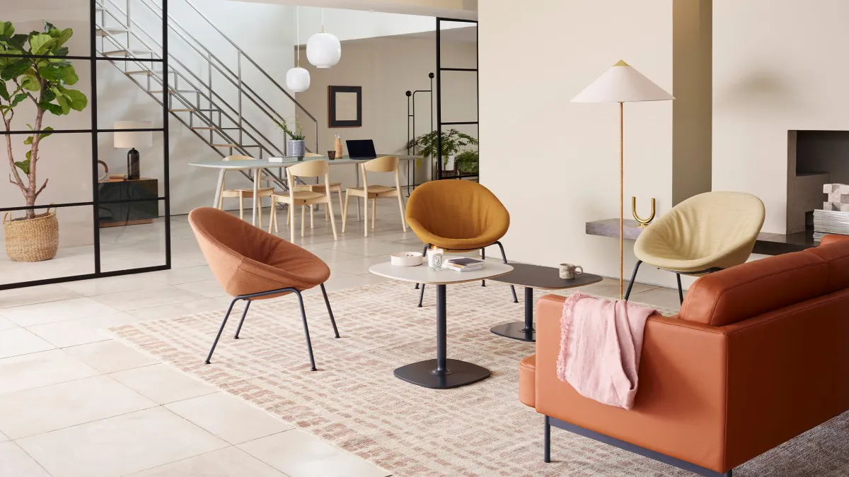 Lily Compact Group 01