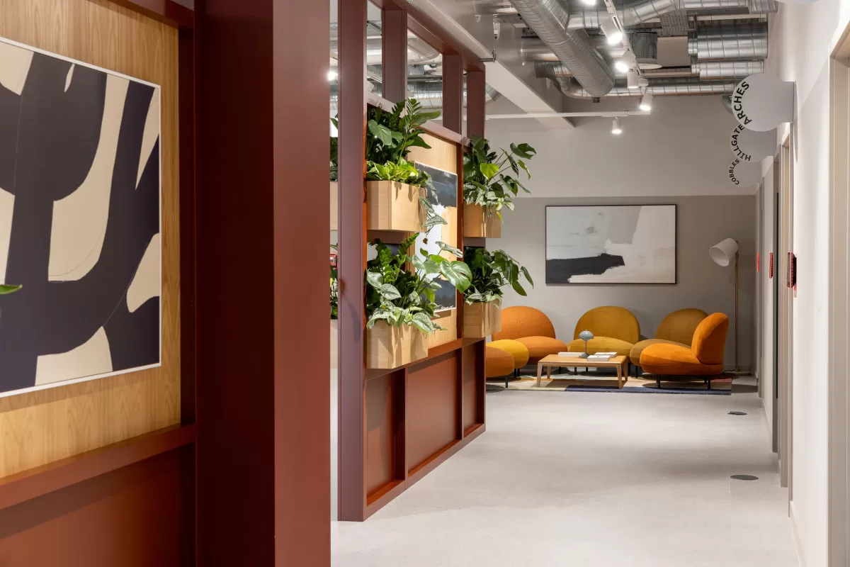 Modus Maluma Hurst Accountants Stockport Greater Manchester Design by Sheila Bird Studio Photography Josh Kemp Smith 001