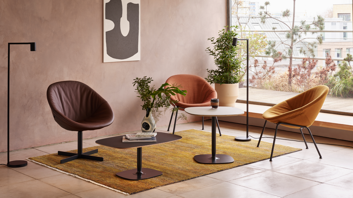 bllom lifestyle 2 v3